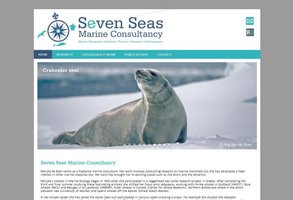 website Seven Seas Marine Consultancy